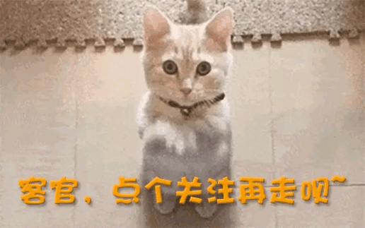 亏损、烂尾、冷清！动辄几亿的网红项目换来空城躲不过三年就凉(图27)