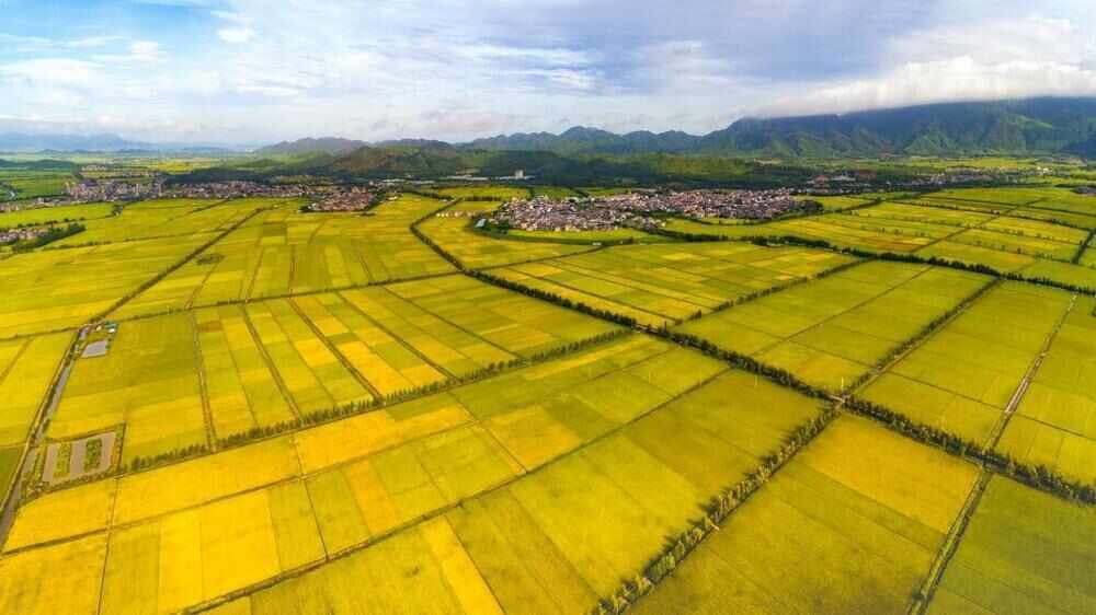 易倍：整县推进农文旅融合！广东19个试点要建成先行区(图3)