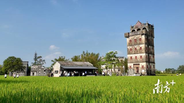 农文旅融合广东放大招(图2)