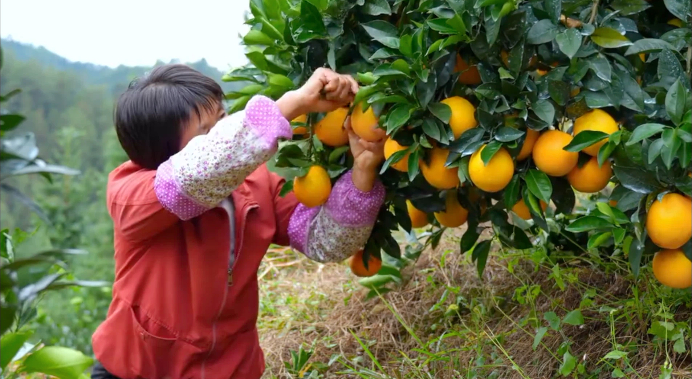 易倍网站：【理响中国·薪火“燃”青春】一滴水的“增值”之旅：从绿水青山到金山银山(图5)