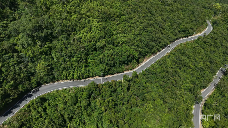 易倍网站：远山的回响丨黎乡焕彩：从闭塞山野到文旅胜地的跨越(图12)