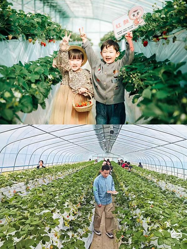马鞍山花山区：农文旅融合留住游客人才集聚激活乡村振兴(图1)