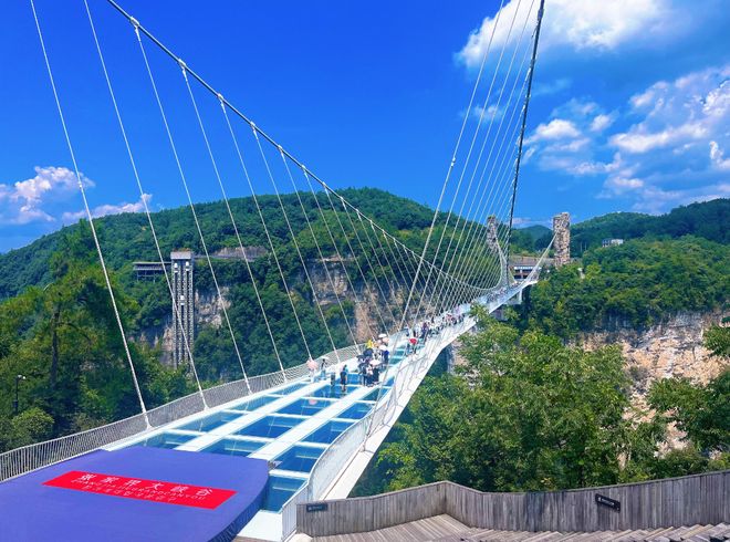 均有提高！国家统计局发布2024年全国文化产业和旅游业数据(图2)