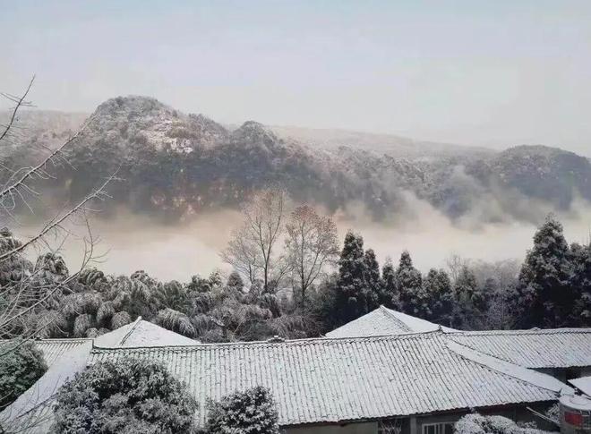 实干的邛崃—我们身边的“十四五”丨文旅赋能筑华章临邛大地竞芳菲(图8)