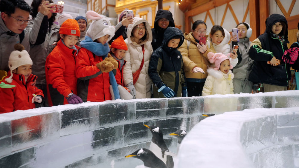 冰雪旅游持续升温搅“热”开年消费市场(图4)