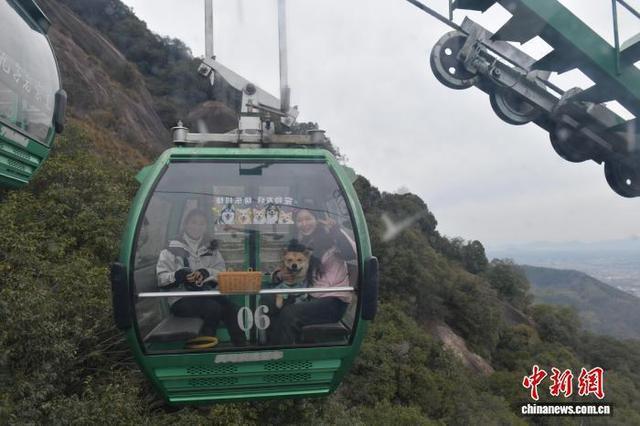 新春走基层｜“毛孩子”带火长三角小城旅游新赛道(图1)