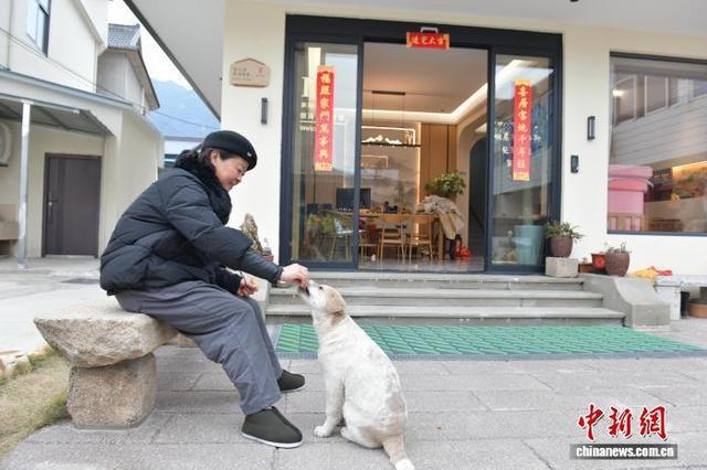 新春走基层｜“毛孩子”带火长三角小城旅游新赛道(图2)