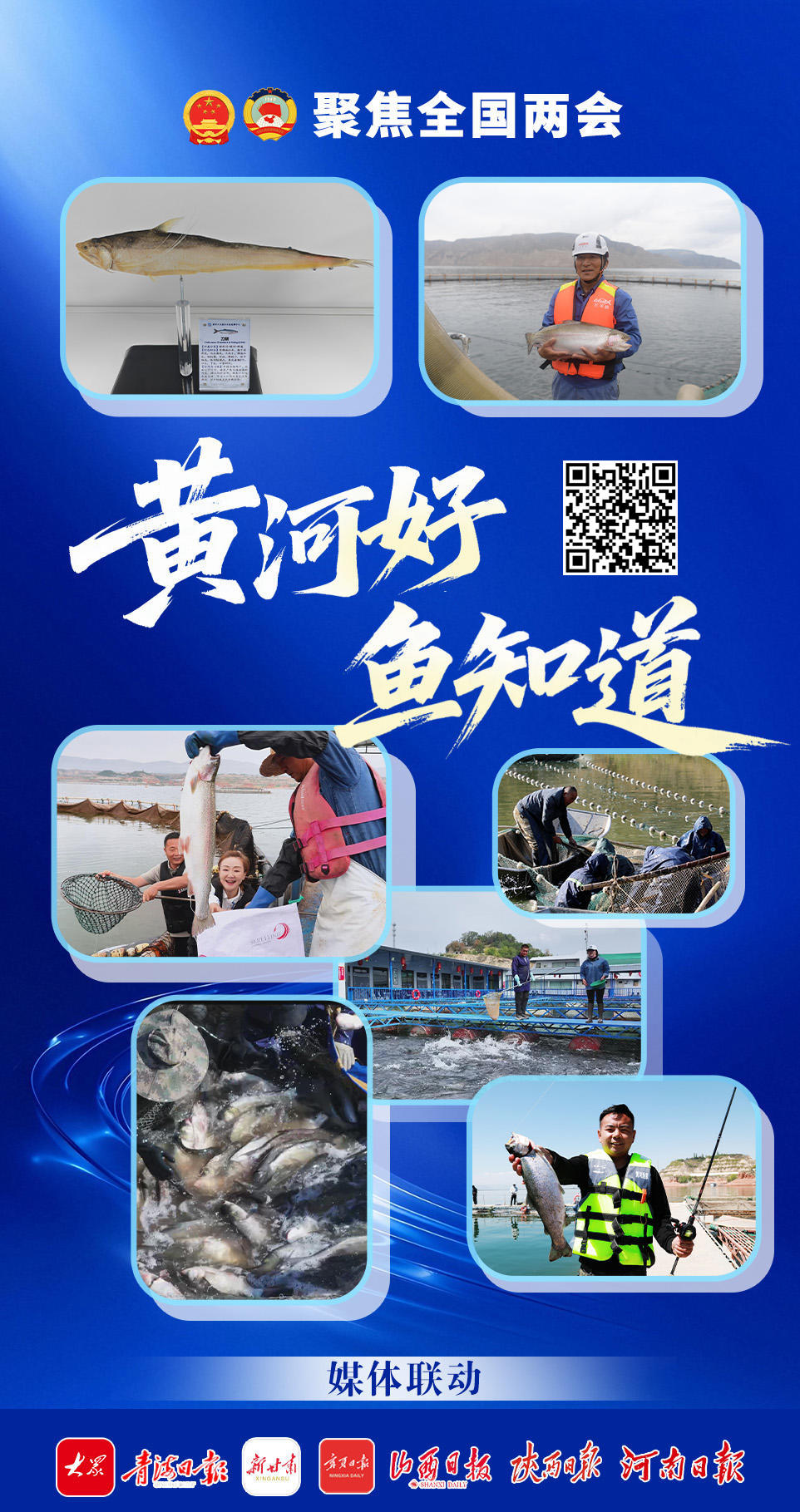 易倍：党媒联动｜黄河好鱼知道(图1)