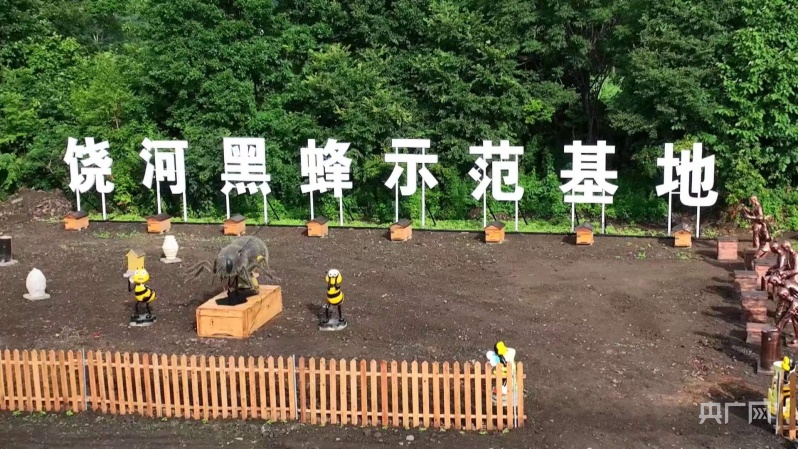 “黑土优品”看龙江丨饶河东北黑蜂：小蜜蜂撑起大产业(图2)