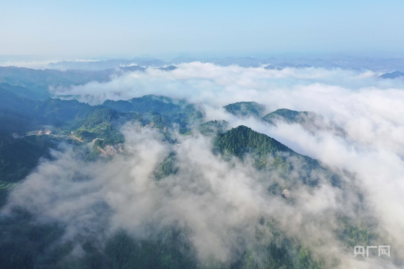 擘画“十五五”·黔进新征程｜杨凯：以“闯”的胆识开拓新局绘就三都高质量发展壮丽画卷(图4)
