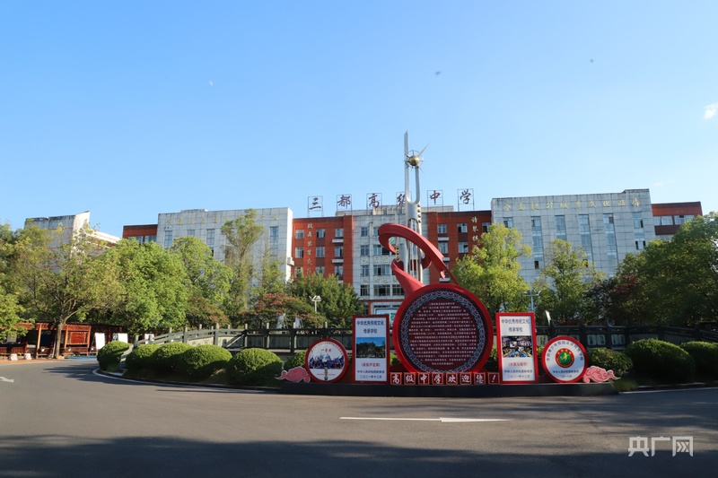 擘画“十五五”·黔进新征程｜杨凯：以“闯”的胆识开拓新局绘就三都高质量发展壮丽画卷(图6)