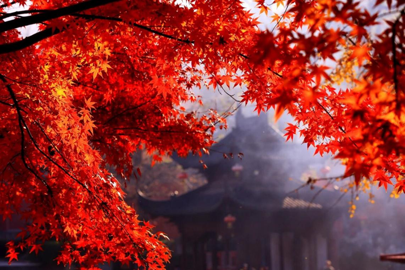 易倍：“春牛首秋棲霞”古諺過時了？(图2)