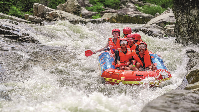 六安市2026年融合发展行动计划暨产业发展项目库正式启动(图3)