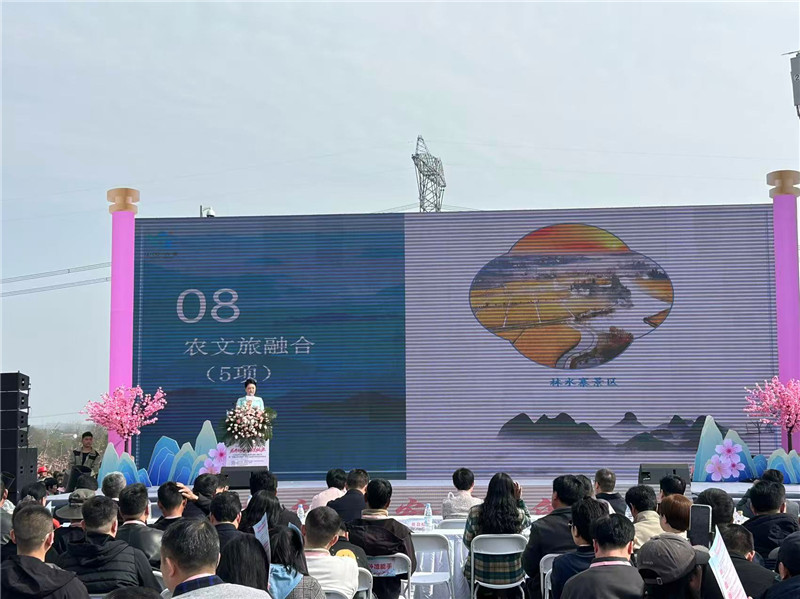 六安市2026年融合发展行动计划暨产业发展项目库正式启动(图5)