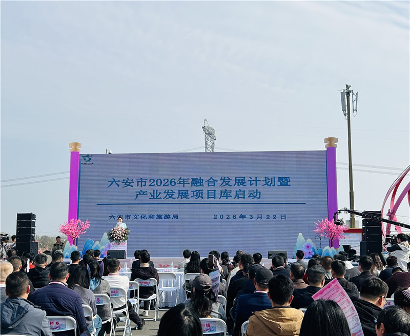 六安市2026年融合发展行动计划暨产业发展项目库正式启动(图4)
