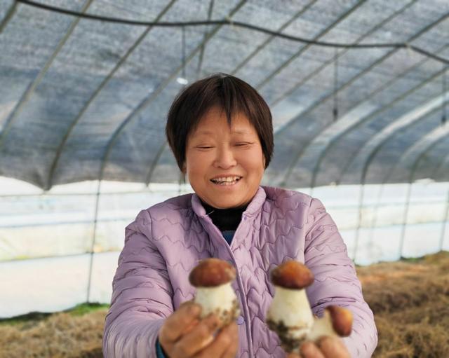 聚焦高质量发展｜看这座皖北小城的“赶考”之路(图2)