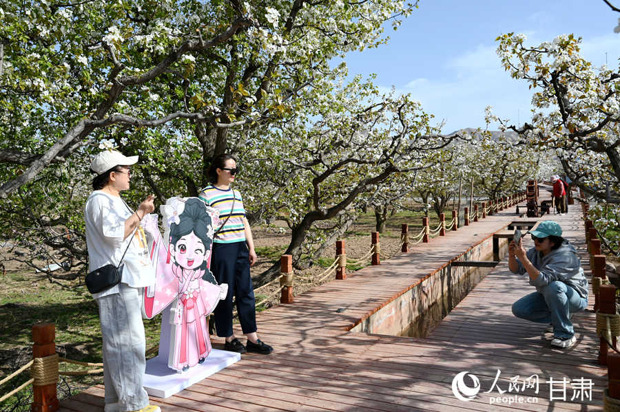 甘肃皋兰：黄河岸畔梨花香农文旅融合绘新景(图7)