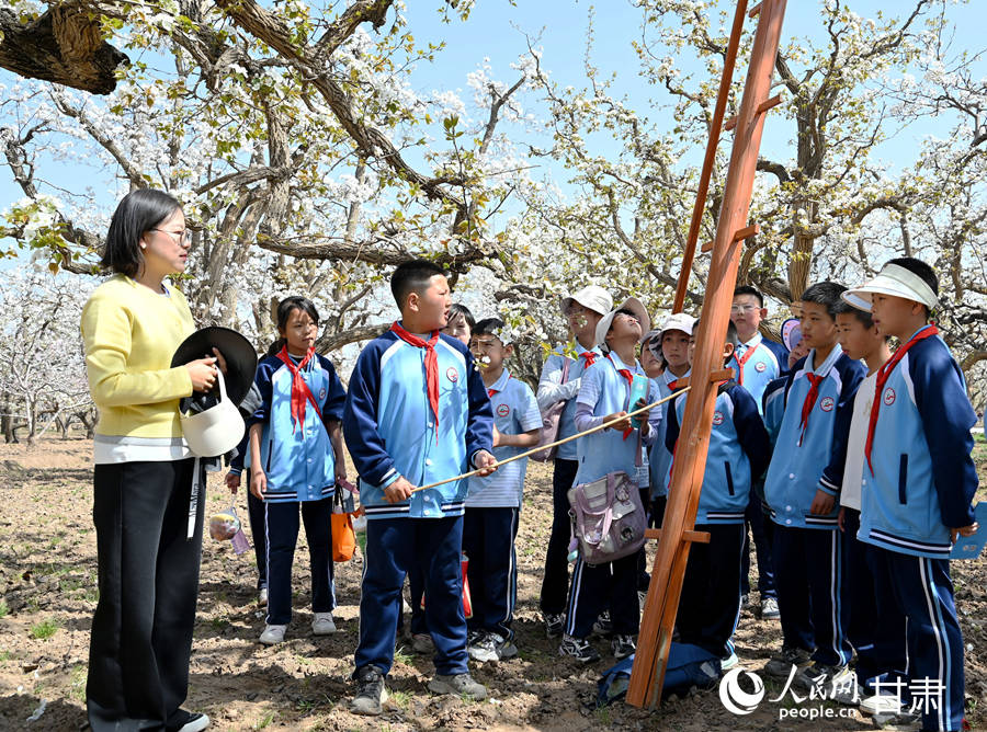 甘肃皋兰：黄河岸畔梨花香农文旅融合绘新景(图4)