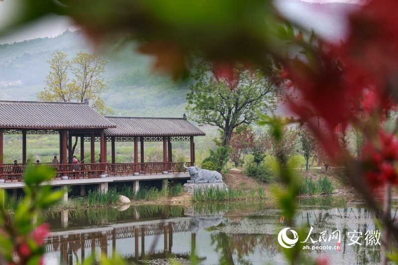蚌埠涂山村：鄉村蝶變文旅興(图3)